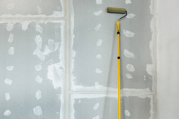 Best Crawl Space Mold Remediation  in Rocky Top, TN