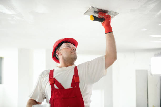 Best Real Estate Mold Inspection  in Rocky Top, TN