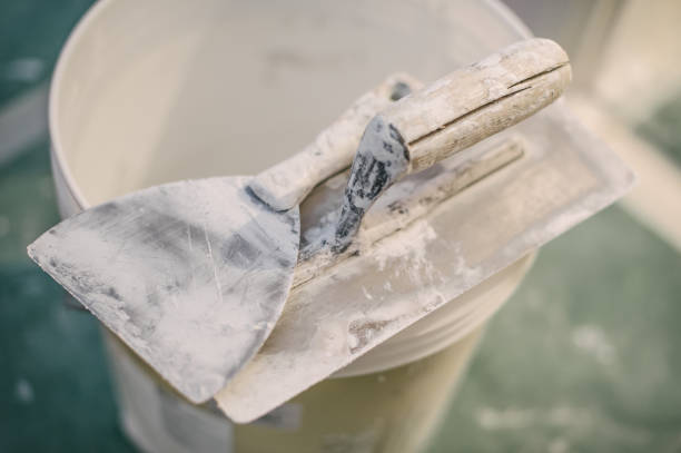 Rocky Top, TN Mold Removal Company