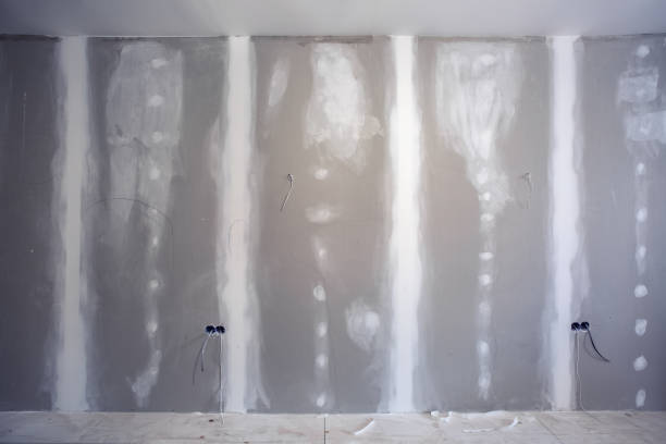 Best Comprehensive Air Testing for Mold Contaminants  in Rocky Top, TN