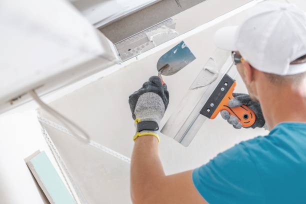 Best Mold Odor Removal Services  in Rocky Top, TN